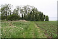 Footpath to Wybers Wood along the north bank of the River Freshney in DN34 5QJ