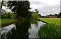 Ardington Brook from the small wooden bridge over it in OX12 8TP