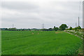 Arable field near The Moat, Gestingthorpe in CO9 3AT