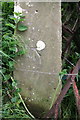 Benchmark on gatepost at bend in Moor Lane in DL8 1QW