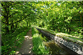 Lumburn Aqueduct in PL19 8HS