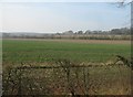 Farmland west of Malshanger Lane in RG23 7HE