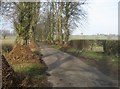 Looking north along Malshanger Lane in RG23 7HE