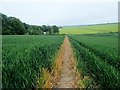 Footpath to Wingham Well Lane in CT3 1AU