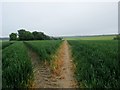 Footpath with view of woodlands by Snakes Hill in CT3 1AU