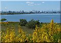 Grangemouth Refinery viewed from the Kinneil Nature Reserve in EH51 0BS