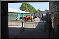 Cattle preparation area, Royal Bath & West Show in BA4 4NN