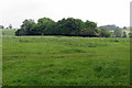 Pasture by Park Farm in MK18 5EG