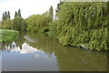 River Great Ouse in MK19 7DL