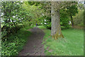 Path in Low Moor Wood in DE45 1LW