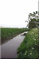 Drainage Dike Near Pagelsham in SS4 2DJ