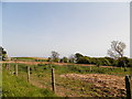 Smallholding at Barns of Claverhouse in DD3 0QB