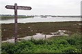 Maturing Saltmarsh, Wallasea Wild Coast Project in SS4 2HD