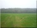 Farmland towards Hilltop Plantation in NE47 0BU