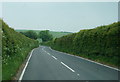 A352 towards Cerne Abbas in DT2 7GW