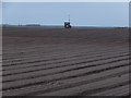 Tattie field at Culblair in Culloden and Ardersier Ward