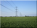 Wheatfield and pylons in Bingham South Ward