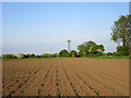 Field of maize and microwave transmitter in Bingham South Ward