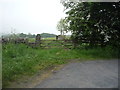 Field entrance off the lane towards Prospect Hill in NE45 5RU