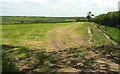 Grass field north of Hudson Cross in EX22 7LB