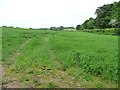 Farmland south of Crawley in Crawley (Winchester)