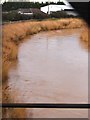 River Parrett, Somerset Bridge in TA7 0AG