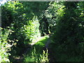 Track near Blakes Farm in BA4 4LB