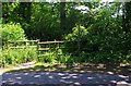 Public footpath to Woodcote Lane, near Dodford, Worcs in B61 9EG