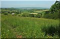 Hillside with a view, Great Hill in TQ1 4SY