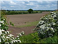 Farmland next to the Chesterfield Canal in DN22 8SZ