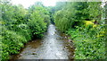 River Honddu at Llanvihangel Crucorney, 1 in NP7 8DB