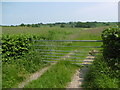 Fields near St Oswald's Church, Hooe in Hooe