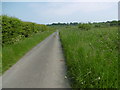 Horsewalk looking towards Hooe in TN33 9HD