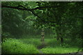 View of an imposing wooden sculpture in Hainault Forest in IG7 6ES