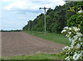 Farmland near Ranby in Babworth