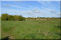 Grassland, Great Denham in MK40 4DJ