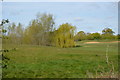 Weeping Willows, Golf Course in MK40 4DJ