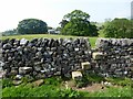 Step stile in the Croasdale valley in Slaidburn