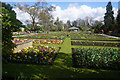 Educational Garden, Singleton Park in SA2 9HY