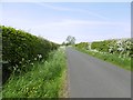 Minor road, Wallington in Wallington Demesne