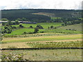 Farmland near Palm Strothers in Slaley