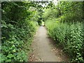 Footpath on Roeshot Hill in BH23 4UR