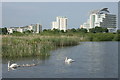 Cardiff Bay Wildlife Reserve in CF11 0JS