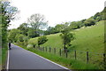 Pasture beside the Lake Vyrnwy road in Llanwddyn Community