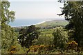 View of Coast from Woods above Golspie in KW10 6SD