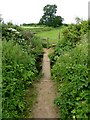 Footbridge and stile at Pinhills Farm in SN11 0LU