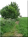 Public footpath heading north to Crawley in Crawley (Winchester)