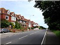 De La Warr Road, Bexhill in TN40 2UH
