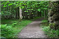 Footpath in Langley Wood in SP5 2PB