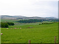 Farmland at Croft-an-Righ in EH46 7AB